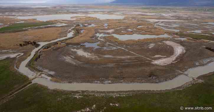 Great Salt Lake wetlands endangered by inland port project, environmentalists say