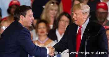 Trump Shows Love to DeSantis After 'Great Meeting' in Miami - 'I Greatly Appreciate Ron's Support'