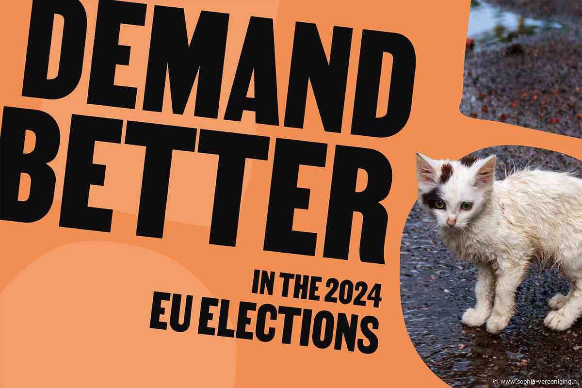 Geef de dieren een stem bij de Europese verkiezingen!