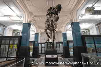 Manchester Museum shortlisted for ‘world’s largest’ award following huge revamp