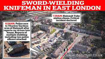 How the Hainault sword rampage unfolded: Everything we know about terrifying attack as boy, 13, dies