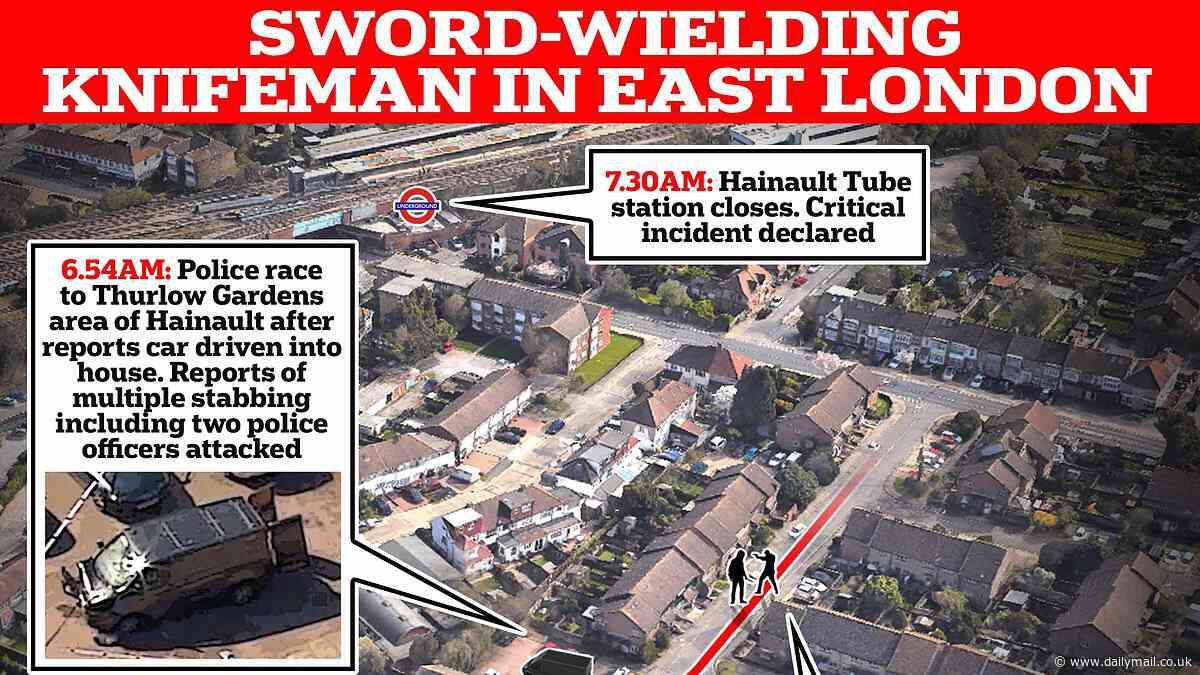 How the Hainault sword rampage unfolded: Everything we know about terrifying 'random' attack after knife-wielding suspect, 36, terrorised streets of east London - as boy, 14, 'on his way to school' dies