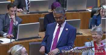 Vaughan Gething lost control of his eyebrows when a Senedd member tried to give him a rose
