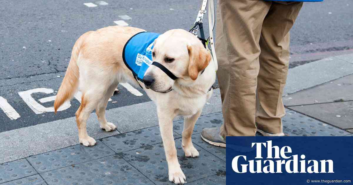 Guide Dogs UK blames cost of living crisis as it plans 160 redundancies