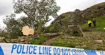 Police charge two men over chopping down of Sycamore Gap tree