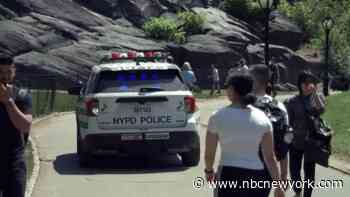 NYPD issues public alert amid Central Park crime spike