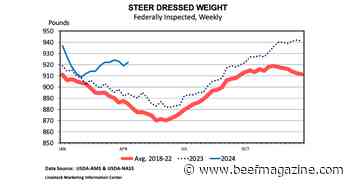 Fed cattle weights and beef supplies