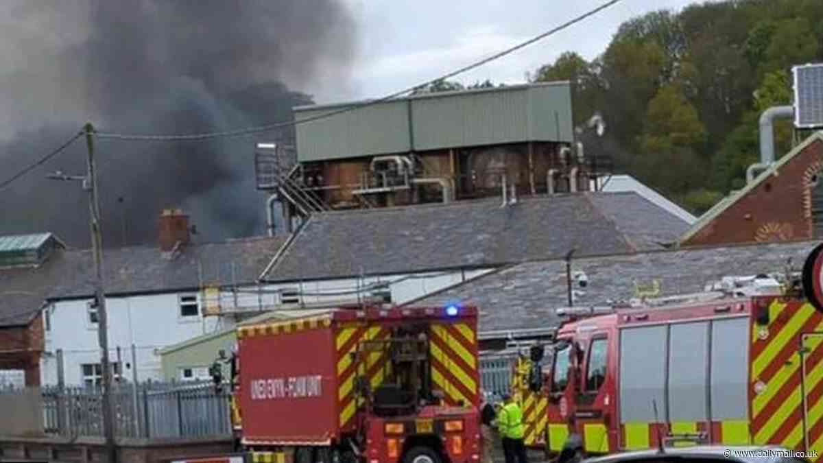 Huge inferno breaks out after fireball explosion at 'chemical factory' in Wales with one man rushed to hospital: Emergency crews race to scene of blast