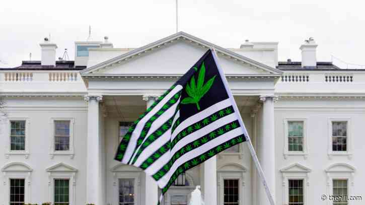 Biden administration plans to ease marijuana restrictions: Reports