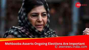 `Opportunity For J&K People...` Mehbooba Mufti On 2024 Lok Sabha Elections