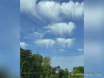 Ask the meteorologist: Why do some clouds look like jellyfish?