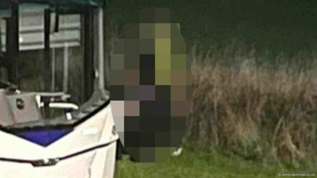 Bus driver and woman colleague who were caught on camera performing a sex act on side of the road have lost their jobs and received a police caution