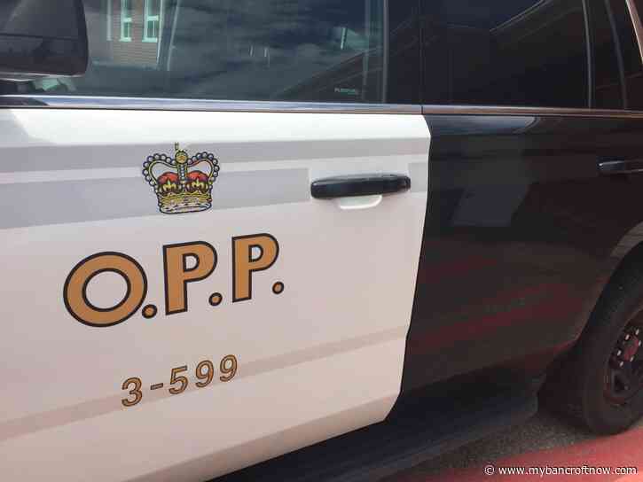 OPP learn of Break and Enters while investigating a stolen car