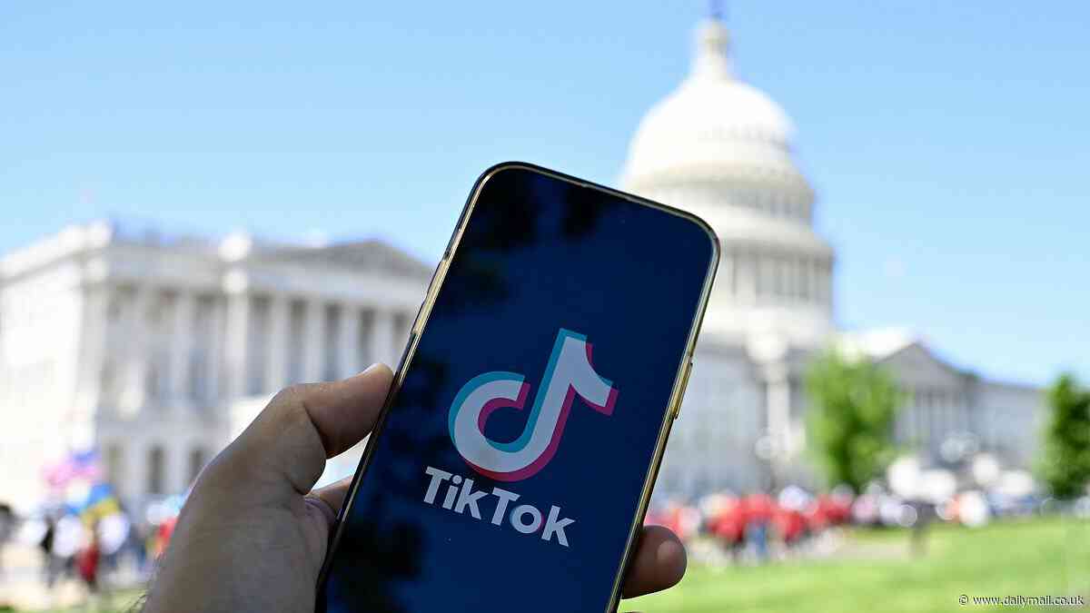 How to protect your TikTok content if Chinese-owned app is banned in US