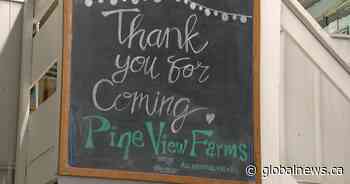 After 26 years, Sask.’s Pineview Farms closes shop and looks to the future