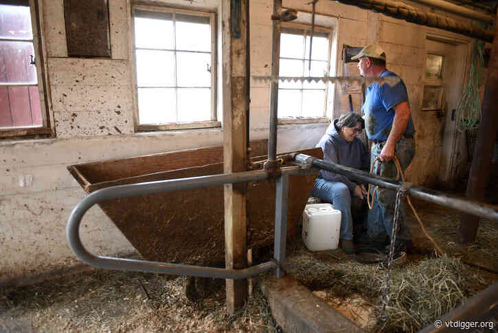 ‘A very hard way to make a living’: Herd departs Hartford’s last remaining dairy farm