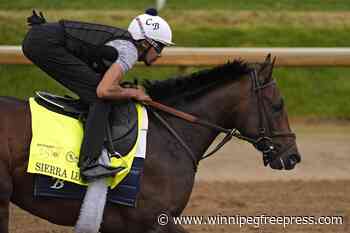 Trainer Chad Brown seeks first Kentucky Derby victory after coming close. Having 2 entrants helps