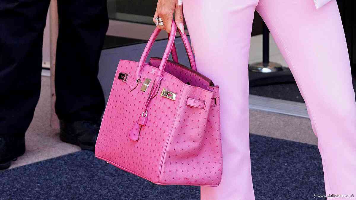 Birkin bags worth up to $100,000 become the number one target for burglars in LA