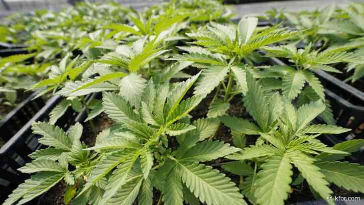 Marijuana could be rescheduled: Would that make it legal nationwide?