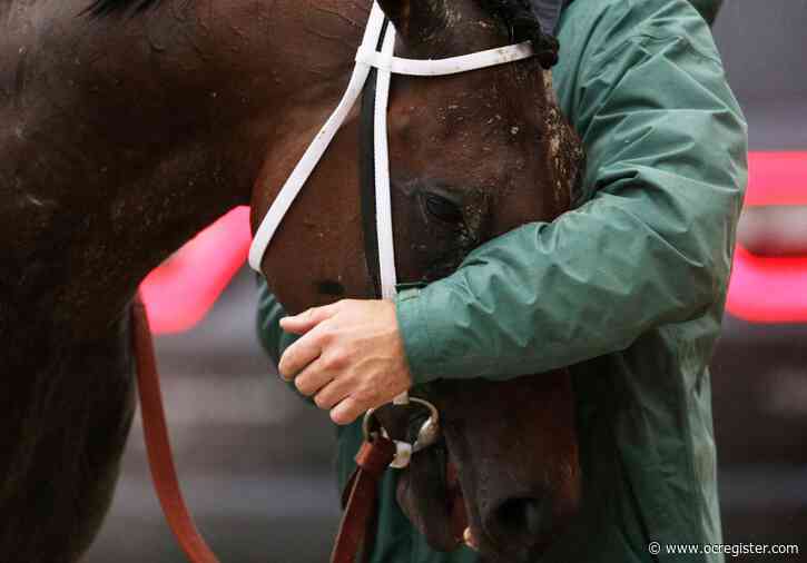 12 horse deaths last year at Churchill Downs brought change to Kentucky Derby