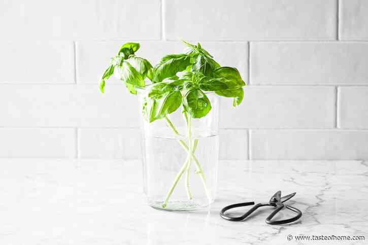How to Store Fresh Basil So It Doesn’t Wilt