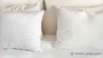 Best Silk Pillowcases for 2024     - CNET