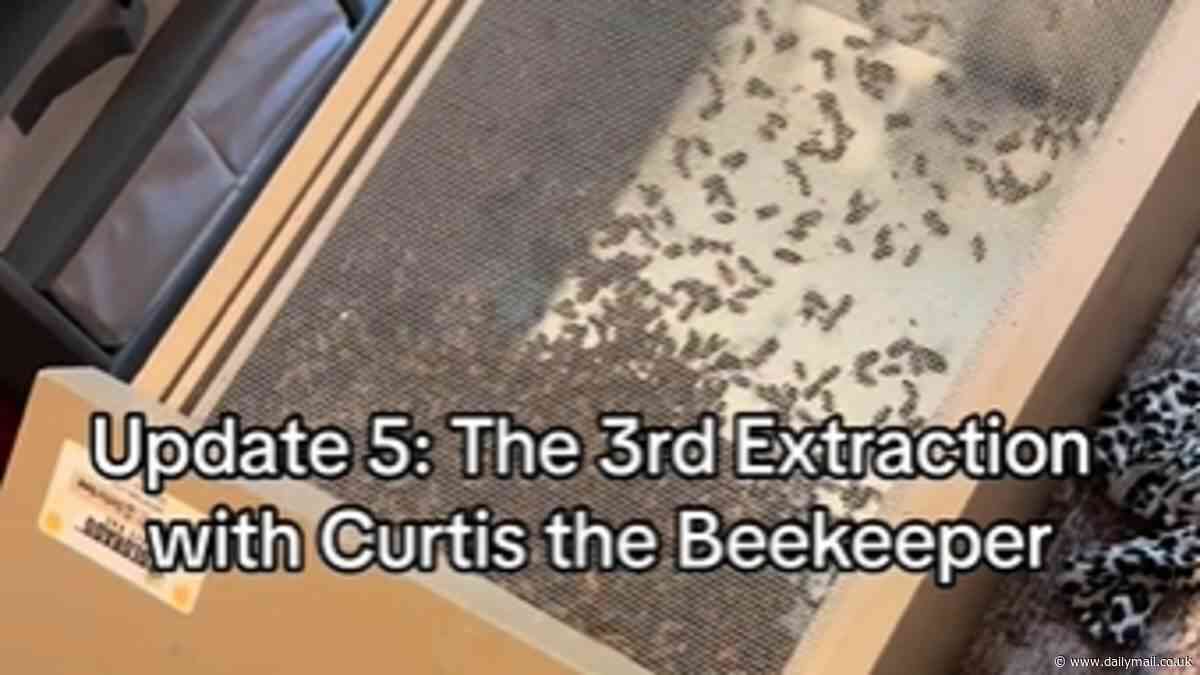 Terrified little girl, 3, told mom and dad there were monsters in her bedroom... it was 60,000 BEES