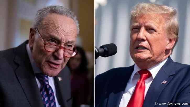Trump condemns 'brainwashed' anti-Israel mob as NYPD moves in, dings Dems: 'Where is Schumer?'