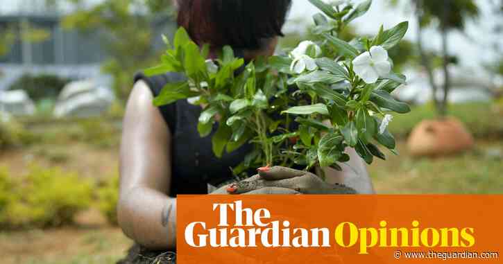 From Colombia to Syria justice is possible for survivors of sexual violence in war – but we need the right ‘ecosystem’ |  Clara Sandoval