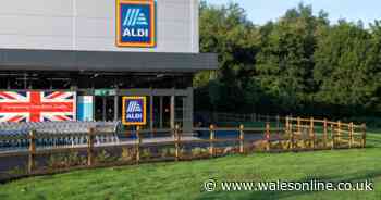 Aldi wants suggestions of where to build its new stores