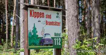 Hohe Waldbrandgefahr in ganz Brandenburg: Was Reisende wissen müssen