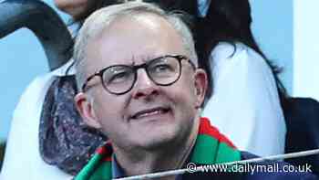 Souths fan Anthony Albanese reacts to coach Jason Demetriou's sacking with a remark that's sure to infuriate thousands of Bunnies fans