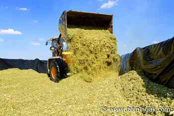 Farmers urged to clamp down on silage pollution to avoid hefty fines
