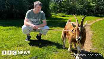 Man who takes goat for walks 'amazed' by new fame