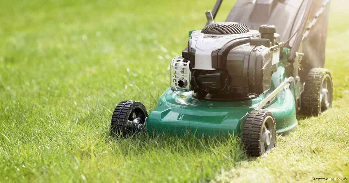 Gardeners told not to mow lawns until July after expert's stark warning