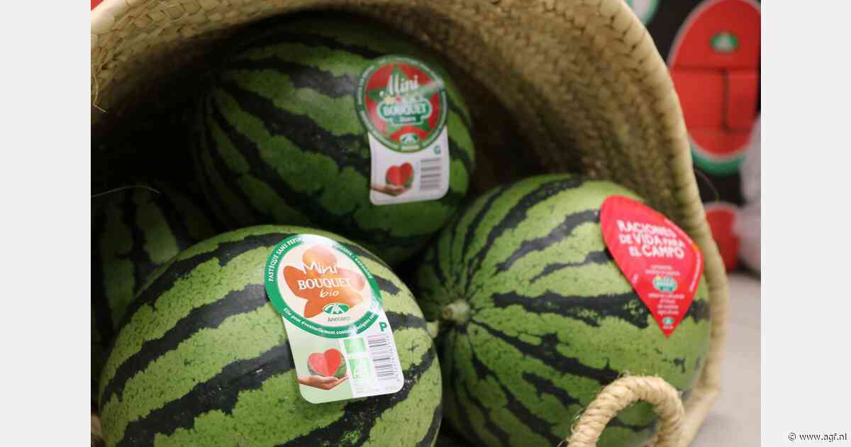 "De afgelopen twee jaar is de watermeloenconsumptie fors gedaald in Spanje"