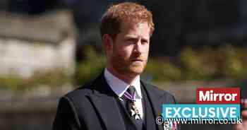 Royal Family 'can do without Prince Harry' as he does Palace a major 'favour', claims expert