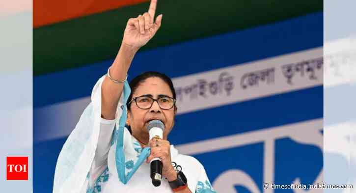 'Serious apprehensions about...': Mamata Banerjee raises concern over voter turnout increase, questions EVM credibility
