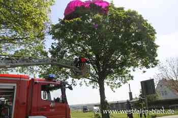 Feuerwehr befreit Fallschirmspringer bei Büren aus Baumkrone