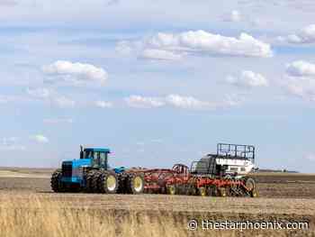 Farming forecast: Dry conditions in Sask help seeding; producers hope for drought turnaround