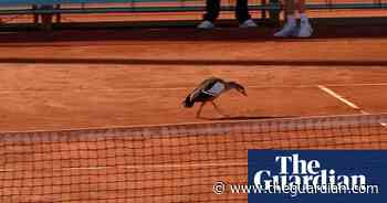 Duck refuses to leave court after interrupting play during Madrid Open match – video