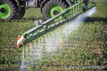 Hier zijn pesticiden voortaan verboden (maar niet in tuinen of op velden): “Wie op heterdaad betrapt wordt, riskeert een GAS-boete”