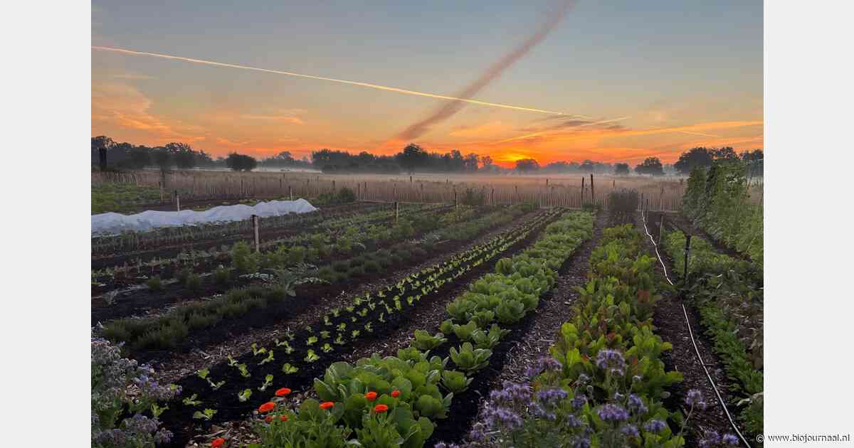 Lenteland biedt nieuw bedrijfsmodel binnen de agrarische sector en pleit voor meer boeren in Nederland
