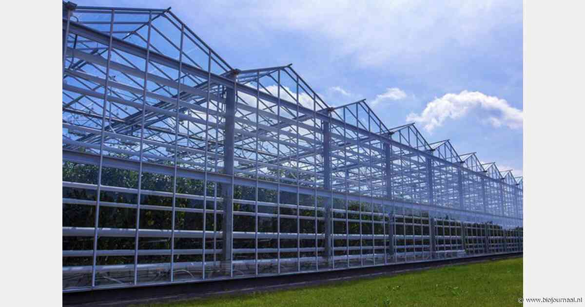 Groei biologische tuinbouw onder glas verloopt grillig