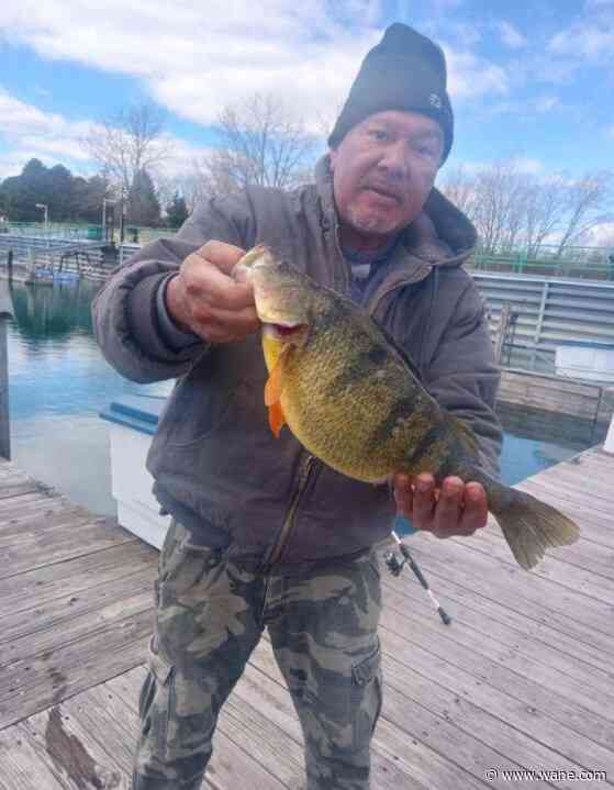 Angler shatters Indiana state record for yellow perch caught on Lake Michigan shore