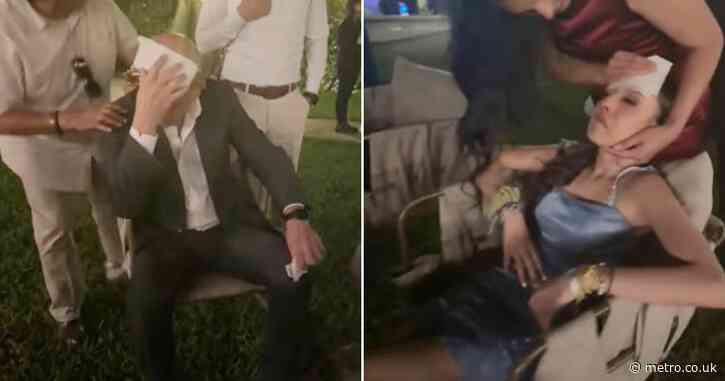 Wedding struck by mass vomiting when over 100 guests are poisoned by mushrooms