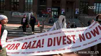 Gaza-Demonstranten fordern «Divestment» von Israel – doch sehr wirksam ist die Strategie nicht
