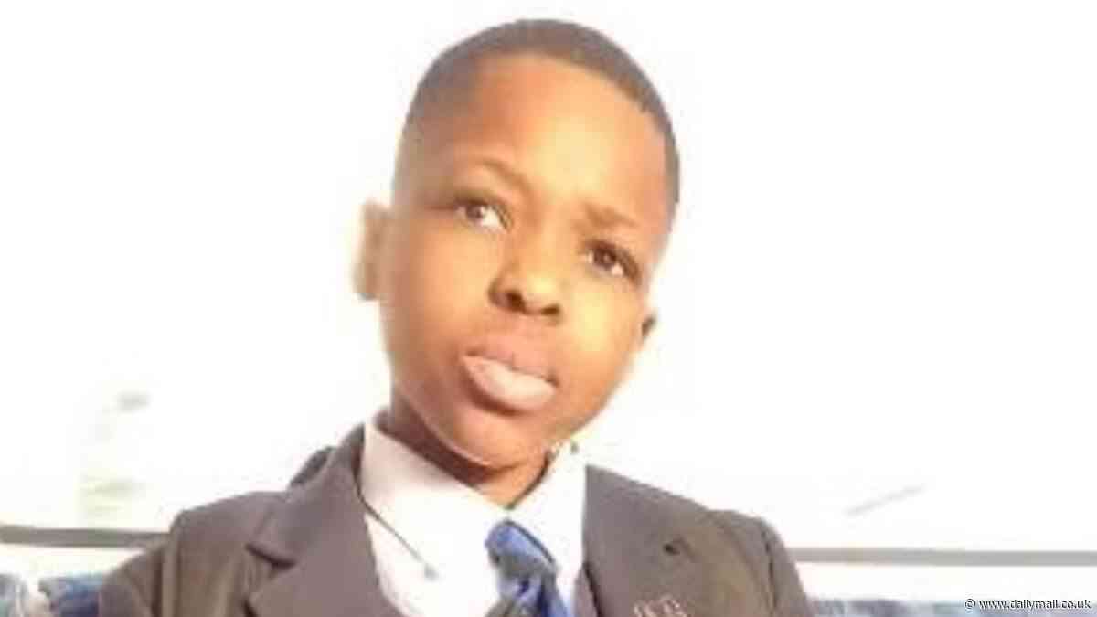 Pictured: Schoolboy Daniel Anjorin, 14, killed in Hainault sword attack - as friend pays tribute to football-loving Arsenal supporter who made people 'smile when he walked into the room'