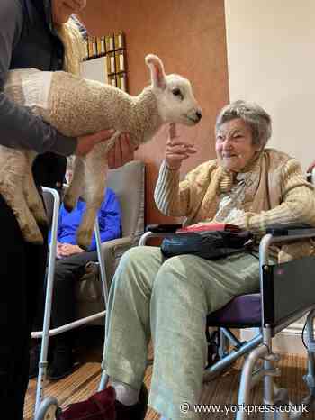 Ryedale Animal Group and Sycamore Nook Therapets visit homes