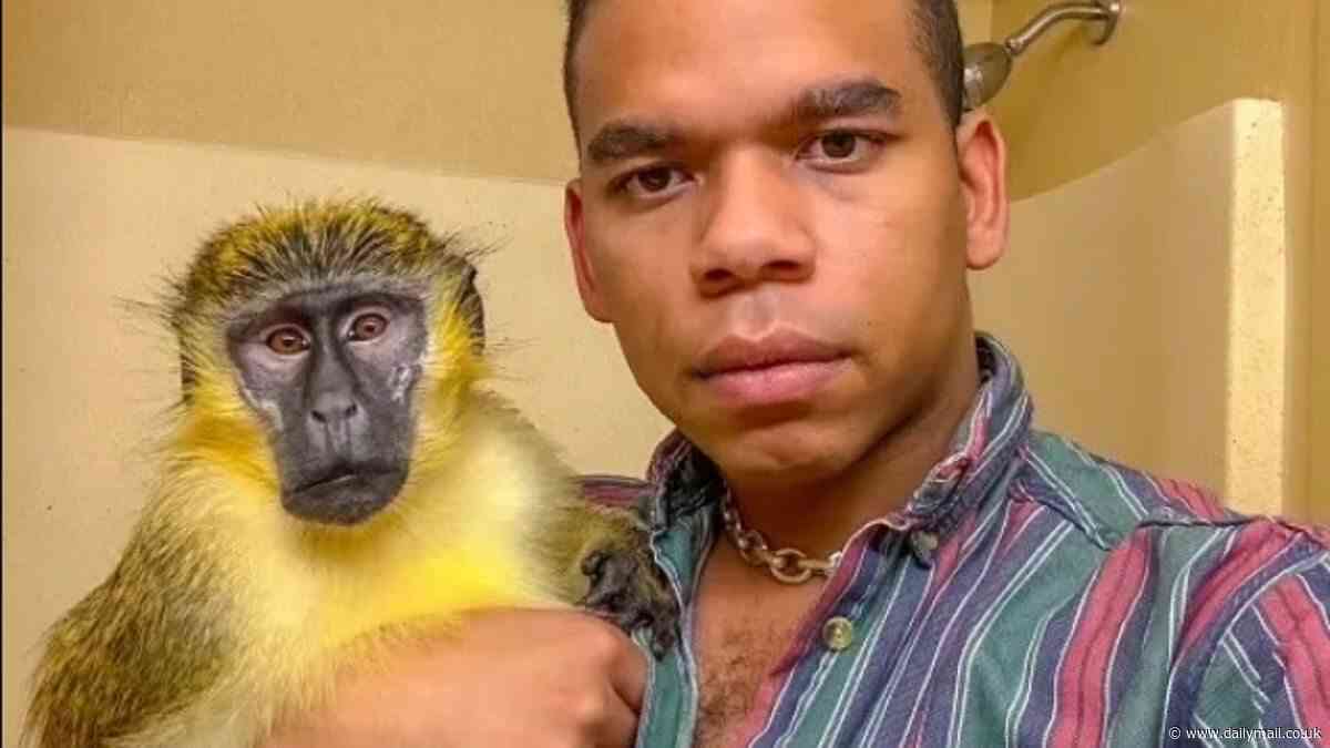 Was Thabo the monkey STOLEN? Vervet that's amassed a huge TikTok following with owner who claims he 'rescued' him from a lab may have been snatched from Florida colony five years ago